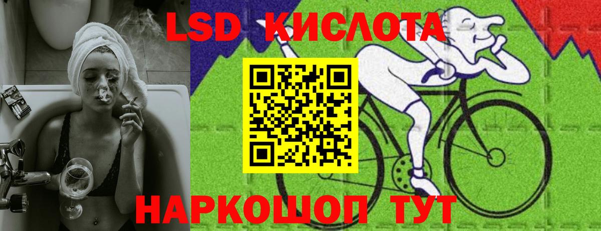 Галлюциногенные грибы Дербент
