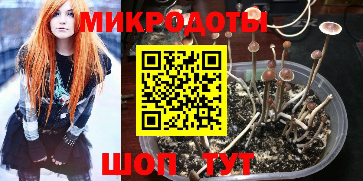 Псилоцибиновые грибы мухоморы Дербент