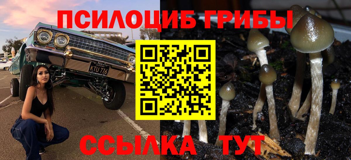 Дербент  закладки  Вход с VPN  Псилоцибиновые грибы мухоморы 