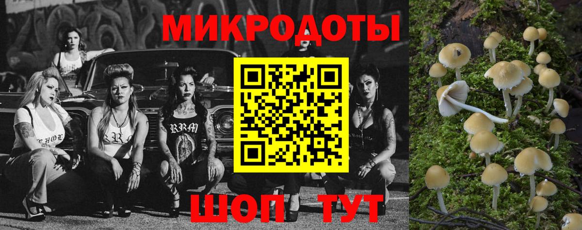 Галлюциногенные грибы Psilocybe  где можно купить   Дербент 